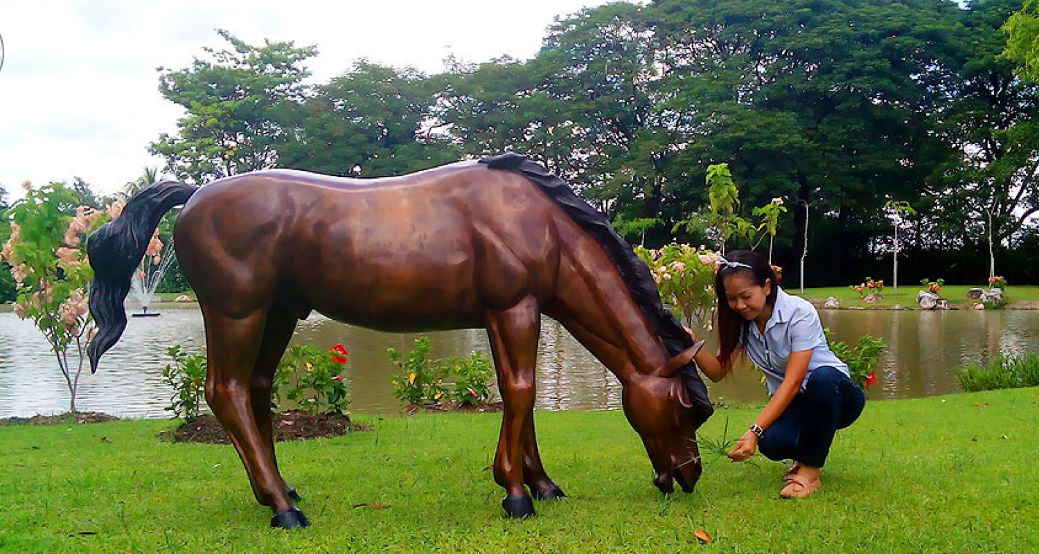 ม้ากินหญ้าทองเหลือง