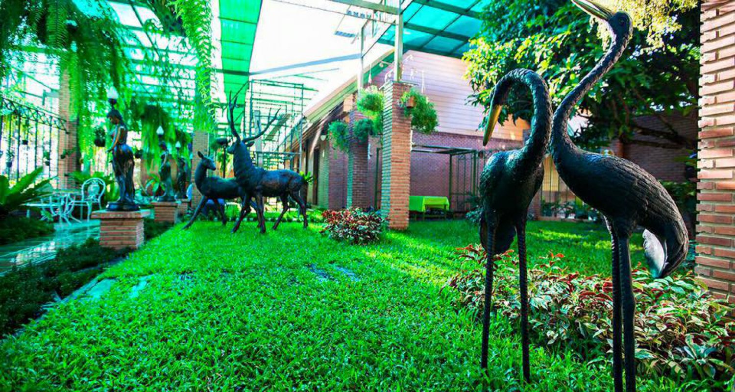 นกกระเรียนทองเหลือง