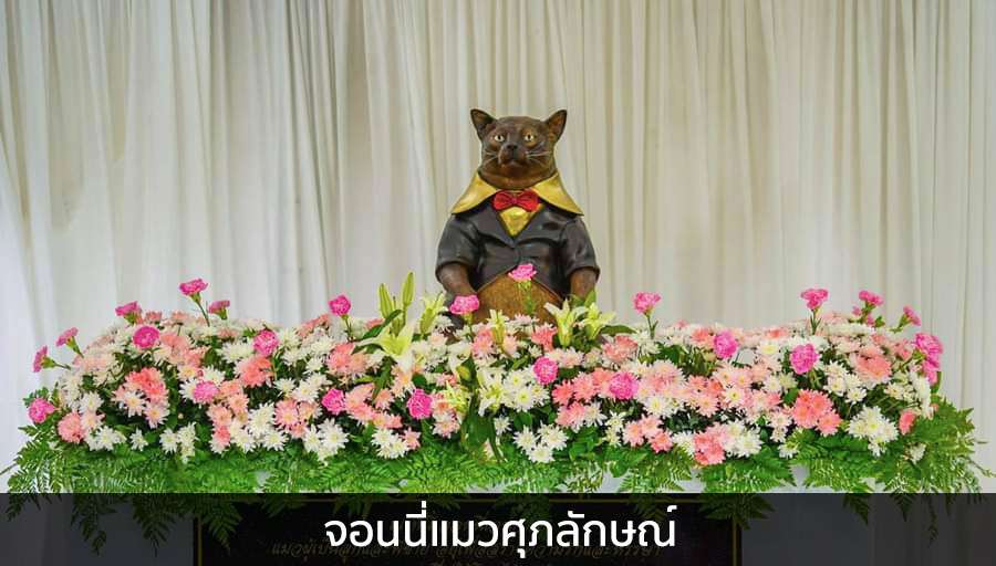 จอนนี่แมวศุภลักษณ์